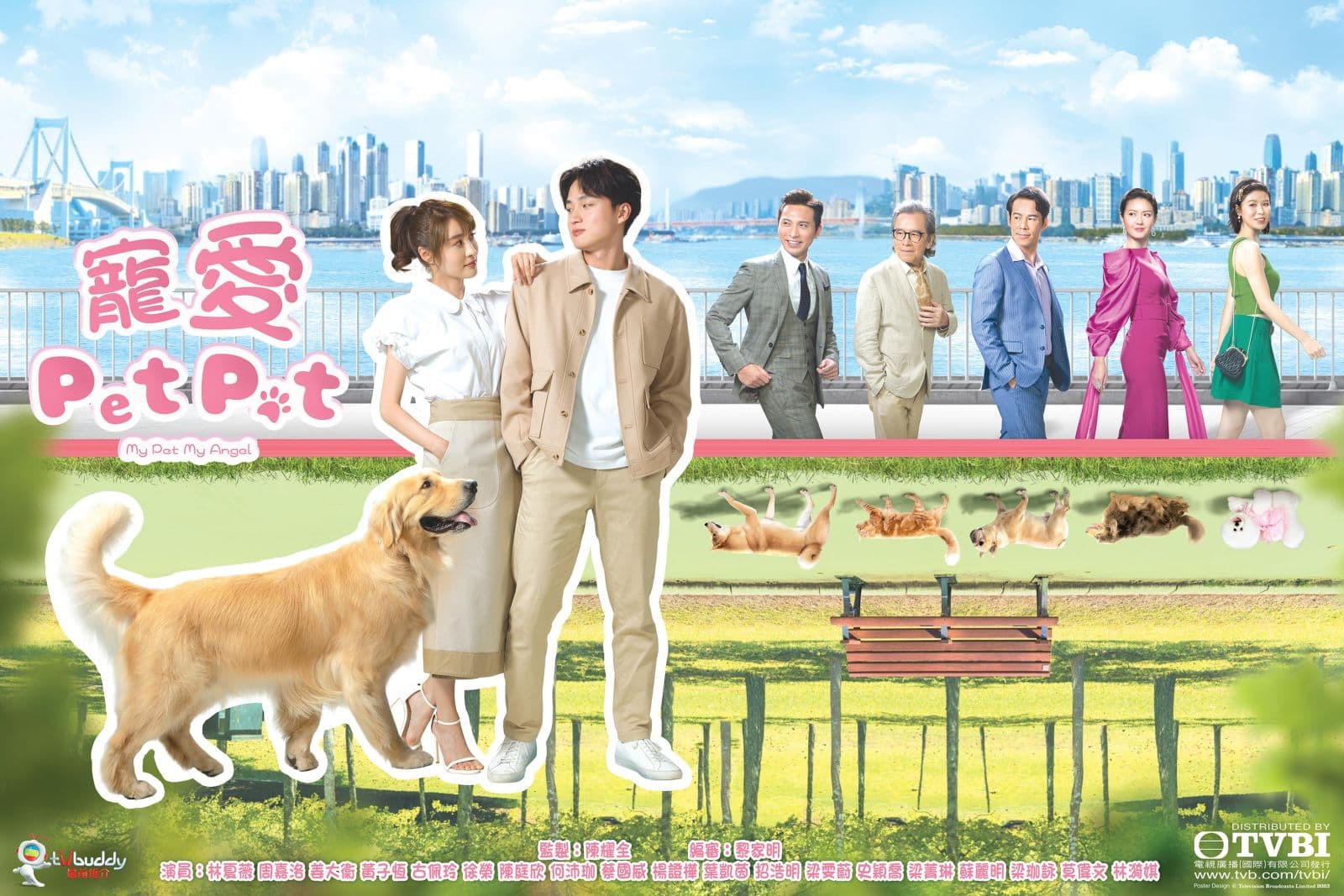 Chó Cưng Của Tôi